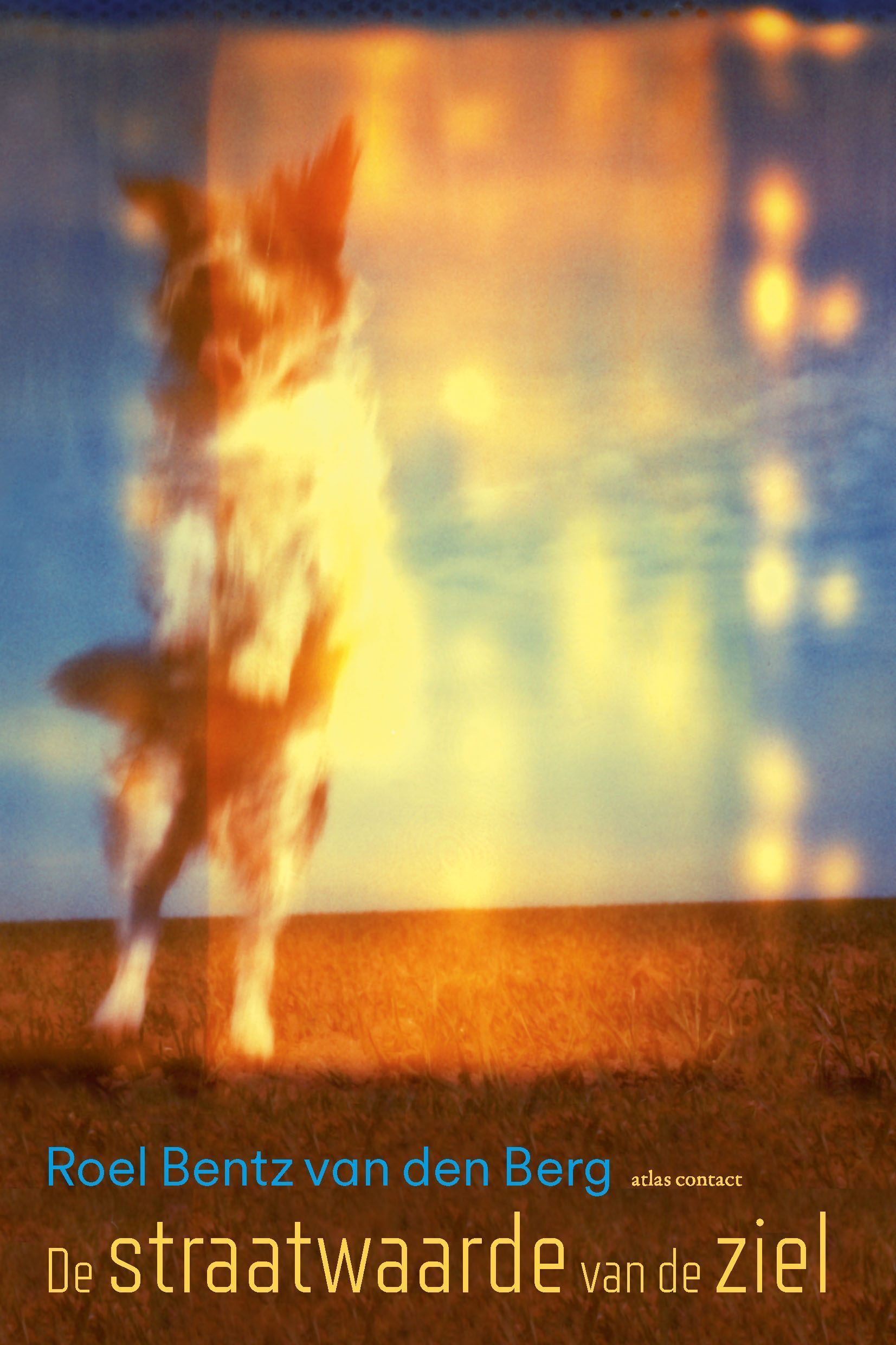 Cover van De straatwaarde van de ziel