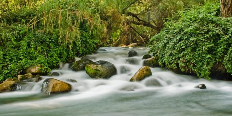 Foto van Yeshaya Dinerstein van Pixabay. Rivier met bomen op de oevers. Preekschets Psalm 1.