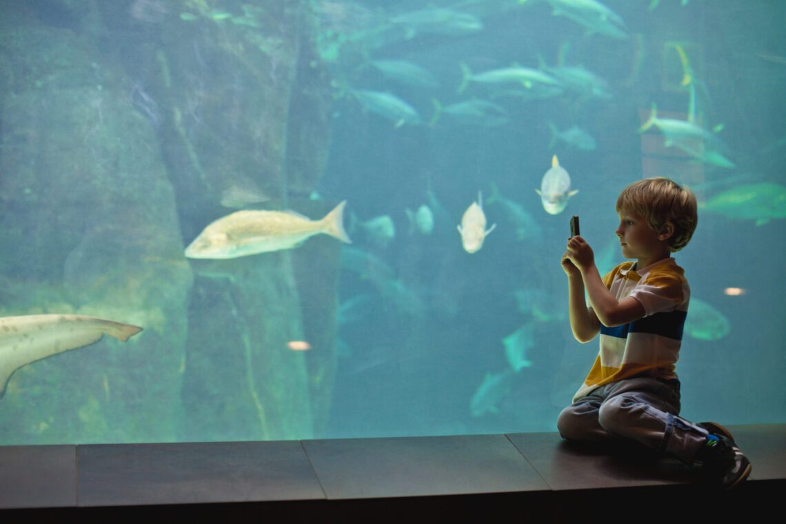Jongetje maakt foto van vissen in aquarium
