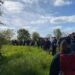 Peacewalk